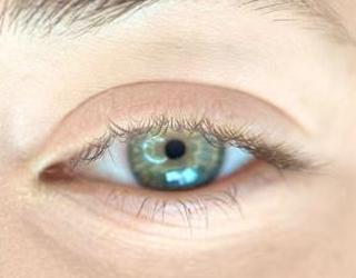 Image de Beautiatelier Eyelash Salon Toronto
