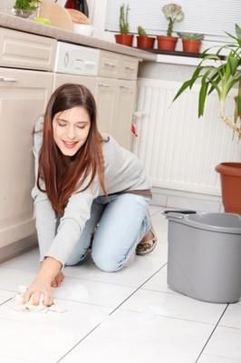 Image of Domestic Cleaners Fulham