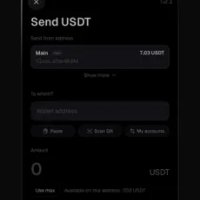 Mesh Wallet photo