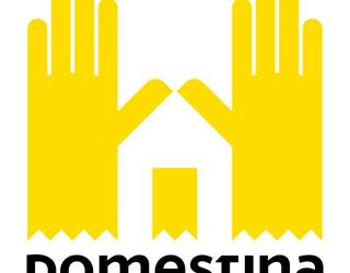 Imagine a Domestina România