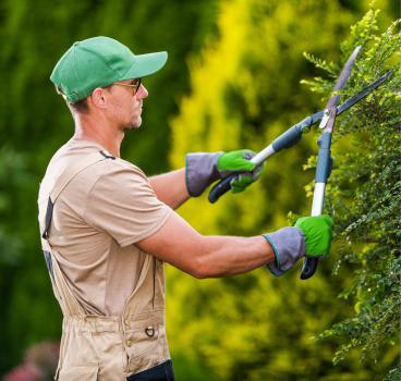 Image of Lawn Care IQ