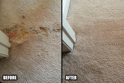 Image of Creative Carpet Repair Santa Ana