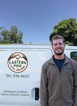 Image of Eastern Pine Pest Control