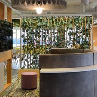Image of Greenery Hire 
