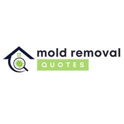 Image of Ashburn Mold Removal Pros