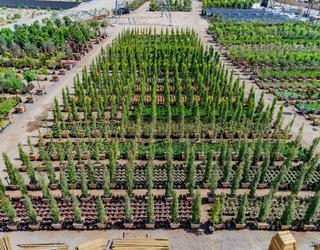 Image of Garden View Nursery