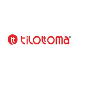 Image of Tilottoma Bangla Group