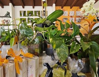 Image of French Florist - North Scottsdale