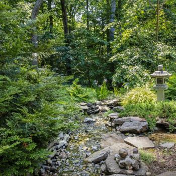 Image of Brandon Rushing Lawn & Garden Care