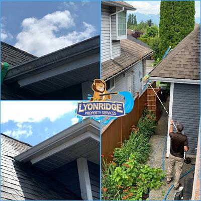 Image de Lyonridge Property Service