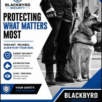 Afbeelding van Blackbyrd Security Services Pty Ltd