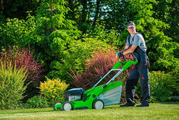 Image of Scottsdale Landscaping Co.