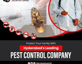 Deccan Pest Control के चित्र