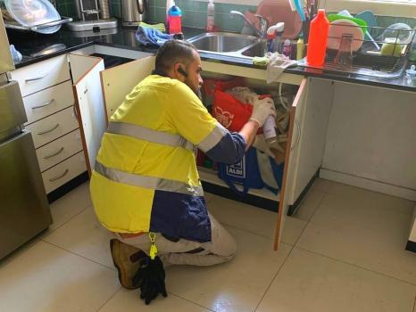 Image of Australian National Pest Management