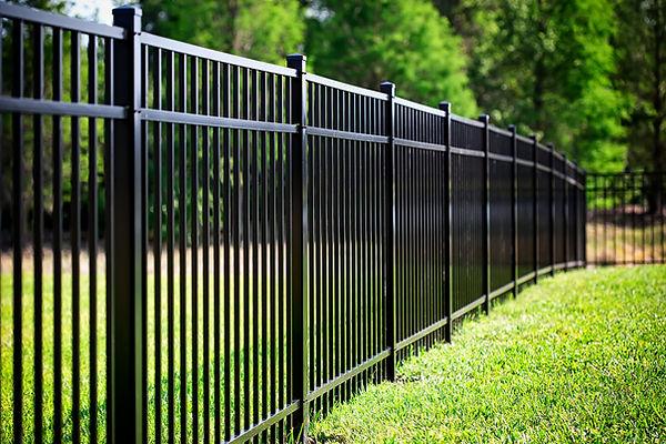 Image of Beyond Gates Fences & Doors