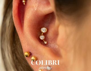 Image de Colibri Tattoo and Piercing (High Park)