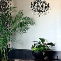 Image of Greenery Hire 