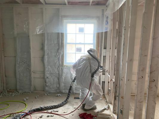 Image of Eco Spray Insulation