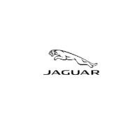 Image of Parramatta Jaguar