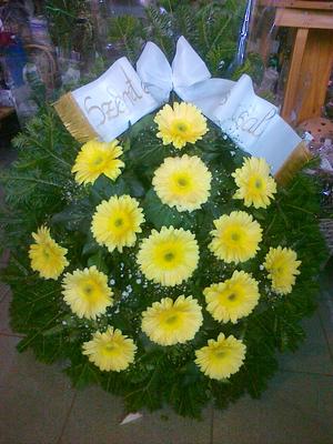 Sarkadi és Társa Bt. képe