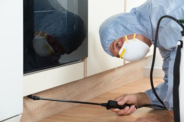 Image de Pest Control Markham Exterminator