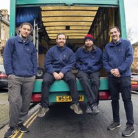 Painless Removals photo