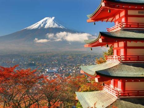 Image of Traveldream