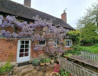 Image of Ellis Horticulture