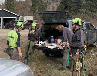 Rootbound Arborists