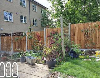 Image of Fencing Ipswich