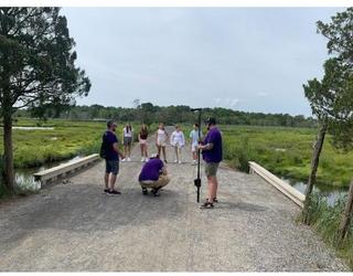 Image of Purplegator