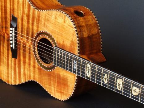 Image of Trevor Gore Guitars