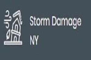 Image of Storm Damage NY