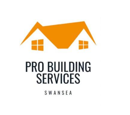 Image of Pro Building Services Swansea