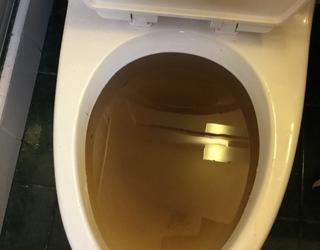 wc verstopt