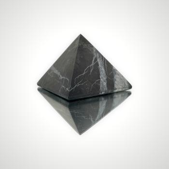 Image of Shungite Masters