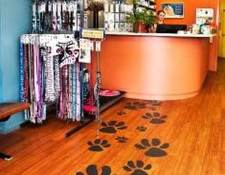 Image of Animal Tracks Veterinary Clinic