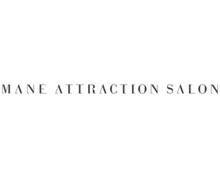 Image of Mane Attraction Salon