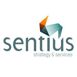 Image of Sentius Strategy Melbourne - Top Marketing Consultant