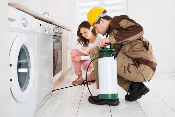 Image de Pest Control Markham Exterminator
