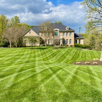 Image of Brandon Rushing Lawn & Garden Care