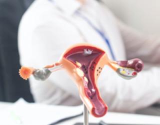 Image of North County Vascular & Interventional