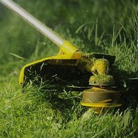 Image of NYC Discount Tree Trimming Service
