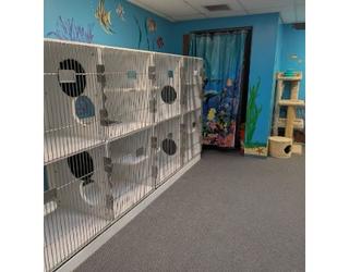 Image of Animal Friends Pet Hotel