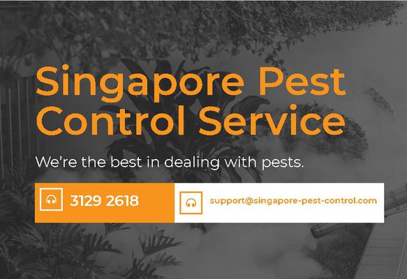 Image of Singapore Pest Control Service