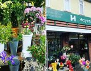 Image of Hayes Florist