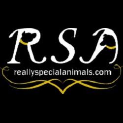 Image of Really Special Animals