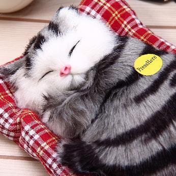 Image of Cats Forever