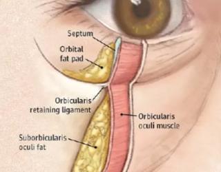 Argent Plastic Surgery的图像