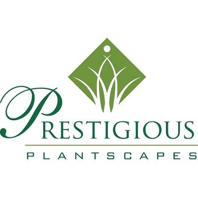 Image of Prestigious Plantscapes